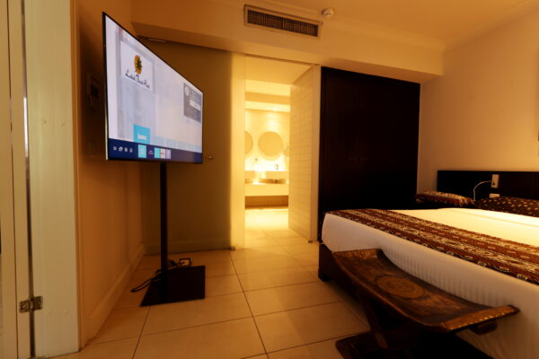 Superior Suite - Image 10